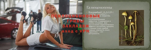 ГАЛЛЮЦИНОГЕННЫЕ ГРИБЫ Аркадак