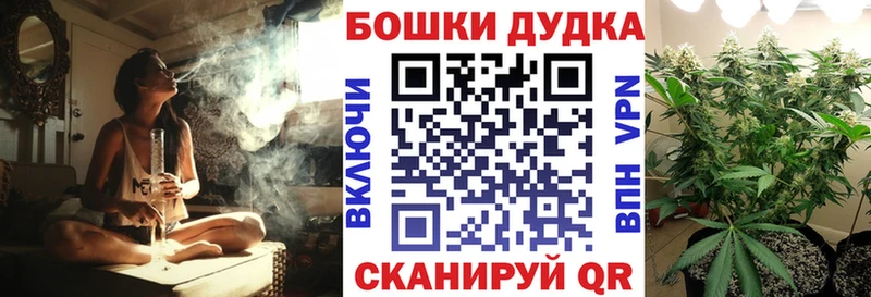 где купить наркотик  MEGA ссылки  Канабис семена  Аткарск 